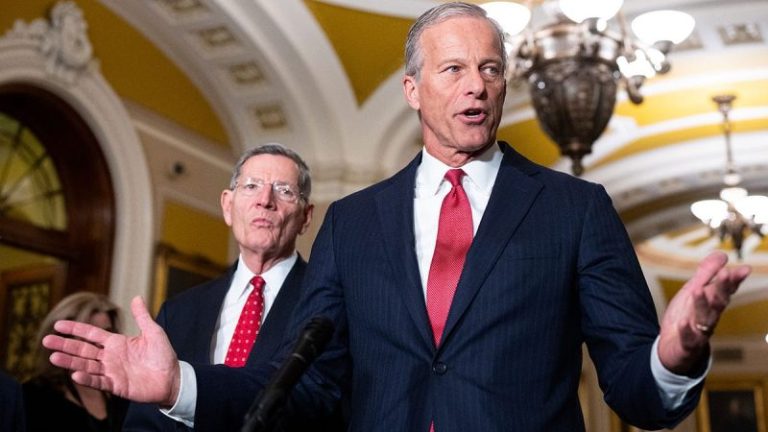 Schumer, Dems’ goal is to ‘tie people down’ so they can’t campaign, Thune says