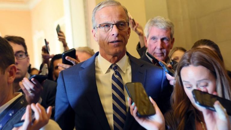 Thune guarantees voter ID bill to hit the Senate despite Schumer, Dem opposition: ‘We will have a vote’